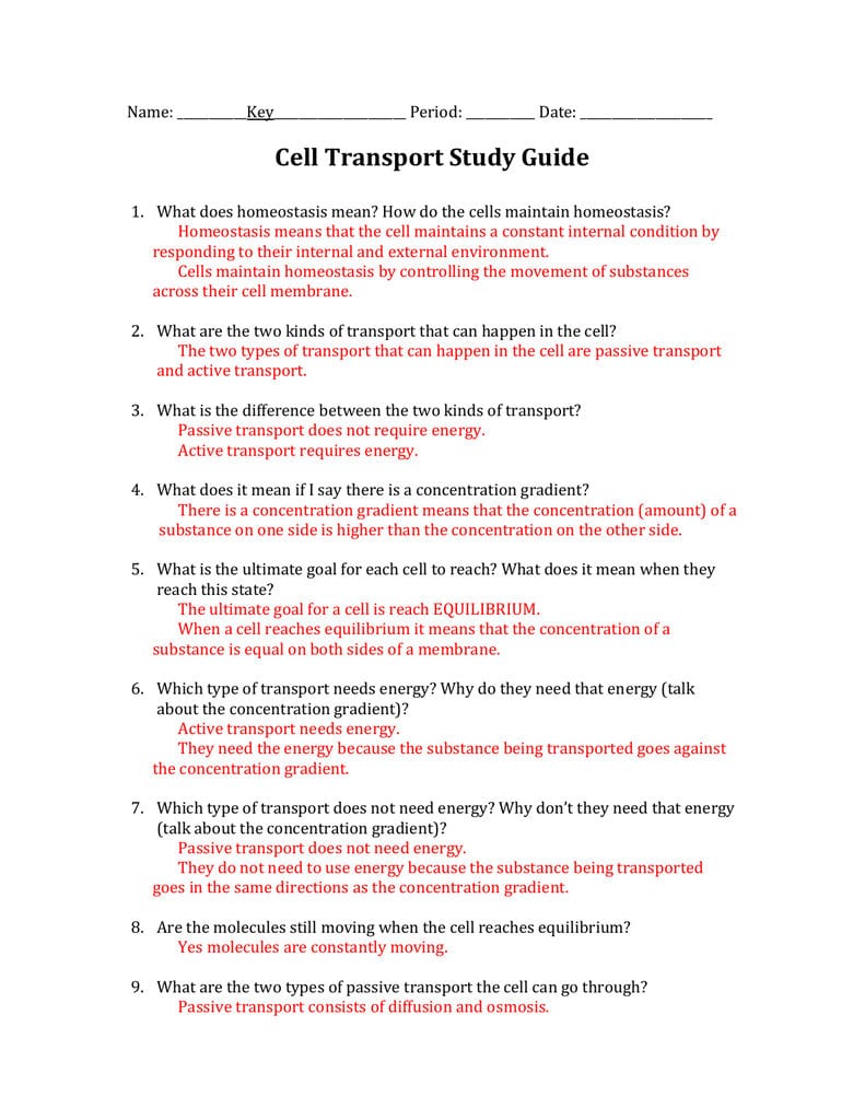 Cell Transport Study Guide Answers