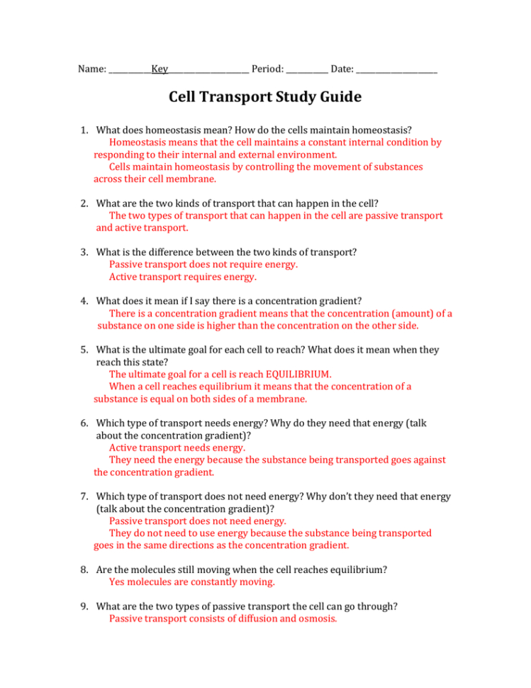 Cell Transport Study Guide Answers