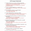 Cell Transport Webquest Worksheet Answers