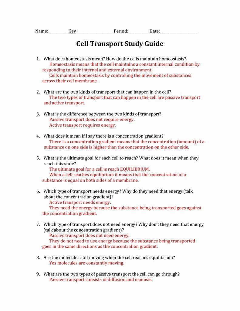 Cell Transport Webquest Worksheet Answers