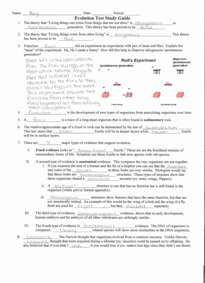 Cell Transport Worksheet Answers