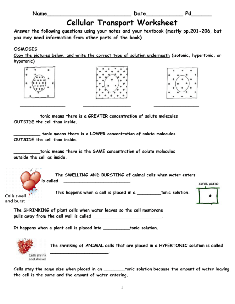 Cell Transport Worksheet Cellular Transport Cell Transport Worksheet Cellular Transport
