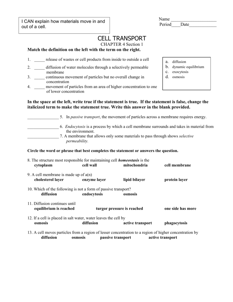 Cell Transport Worksheet  Fairfield Public Schools