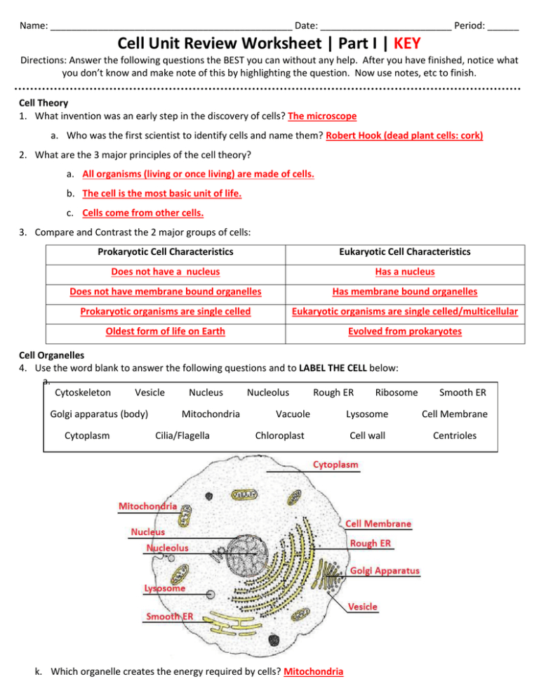 inside-the-eukaryotic-cell-worksheet-answers-db-excel