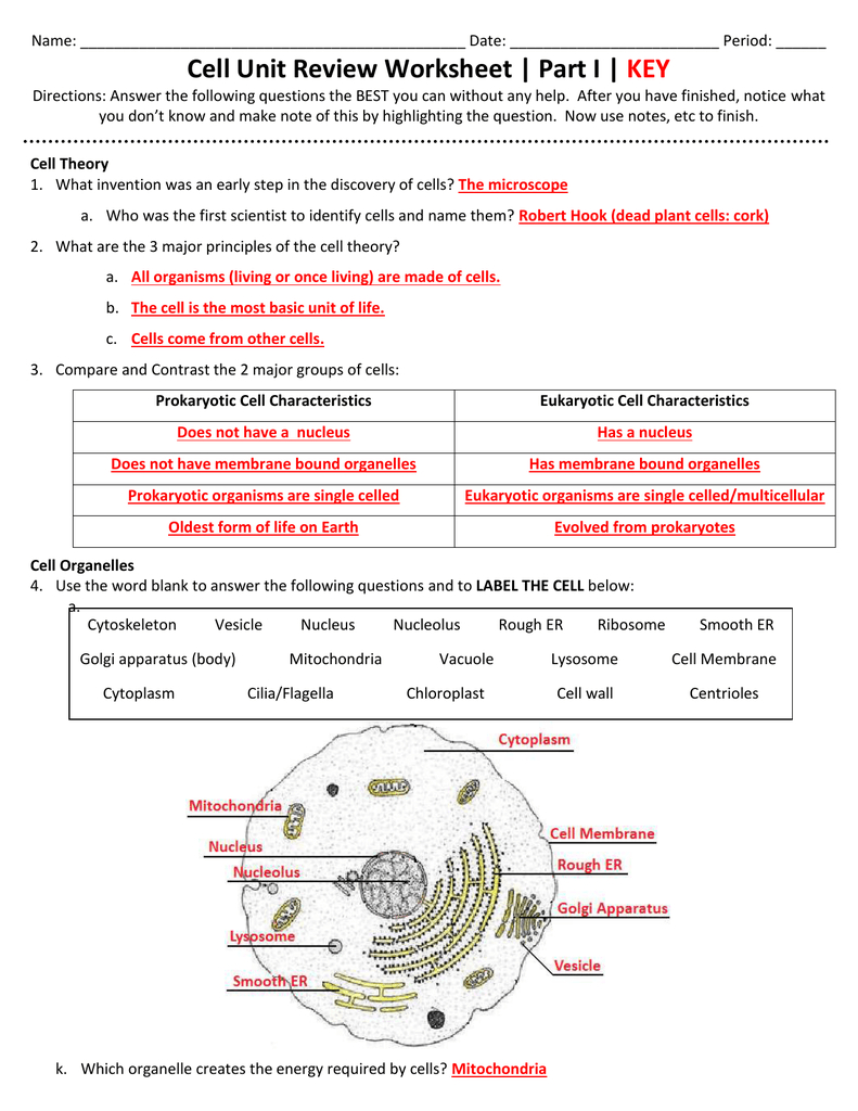 Cell Unit Review Worksheet  Part I  Key