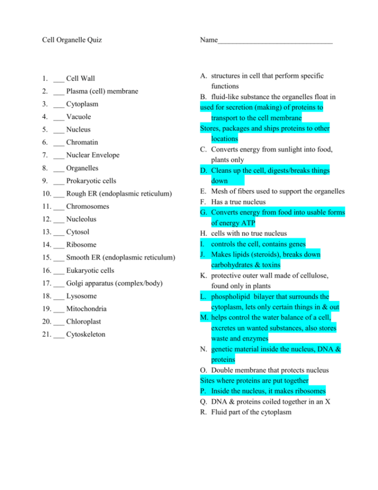 Cell Vocab Practice Test Cell Organelle Quiz