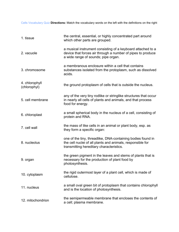 Cell Vocabulary Quiz  Mr Almada