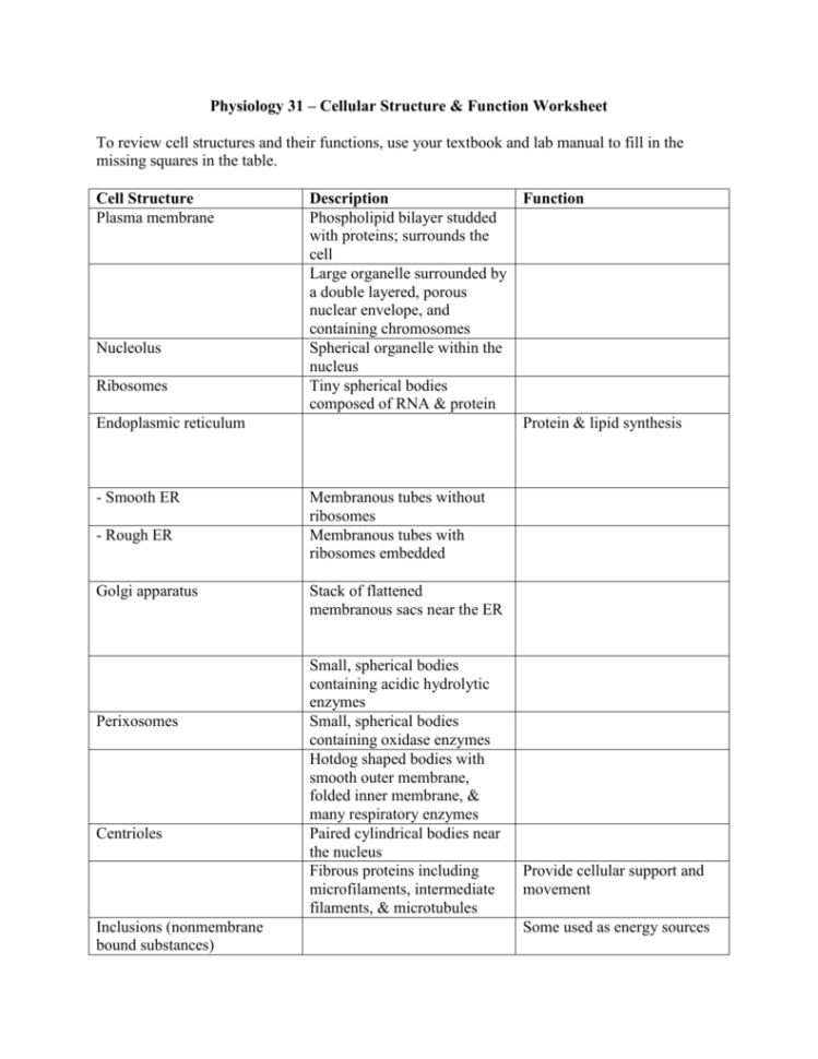 Cell Worksheet  Tissue Chart