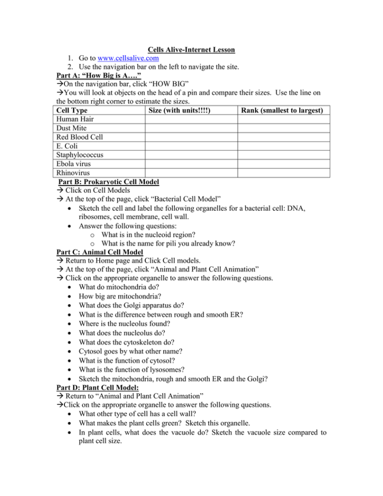 Cells Alive Activity