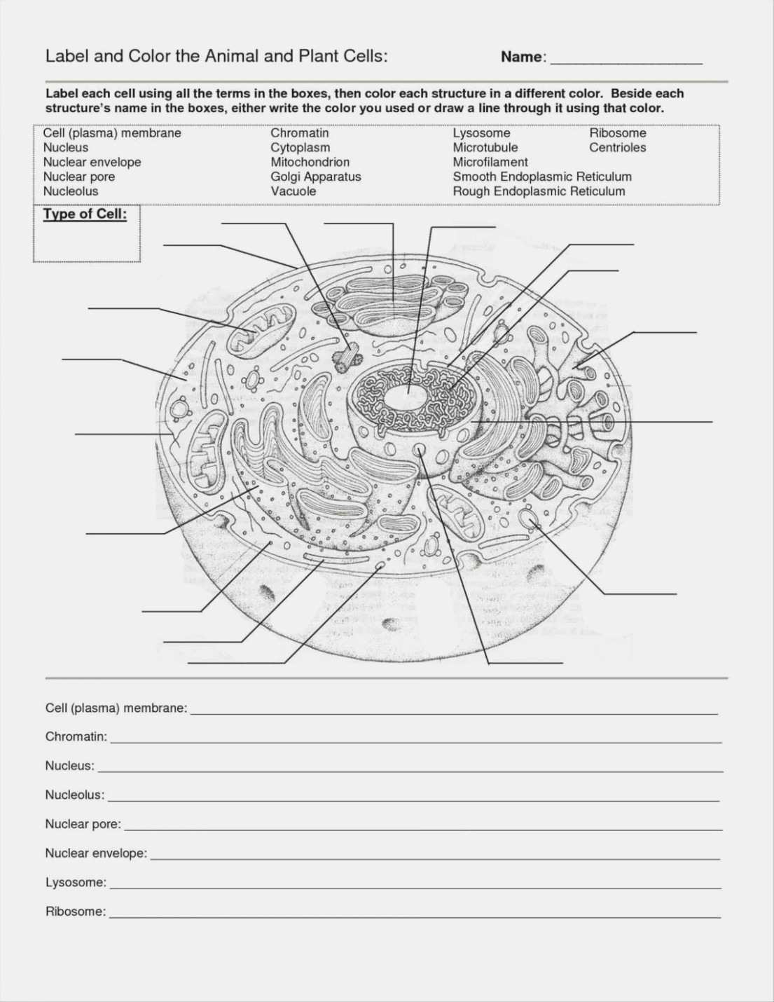 Animal And Plant Cell Labeling Worksheet