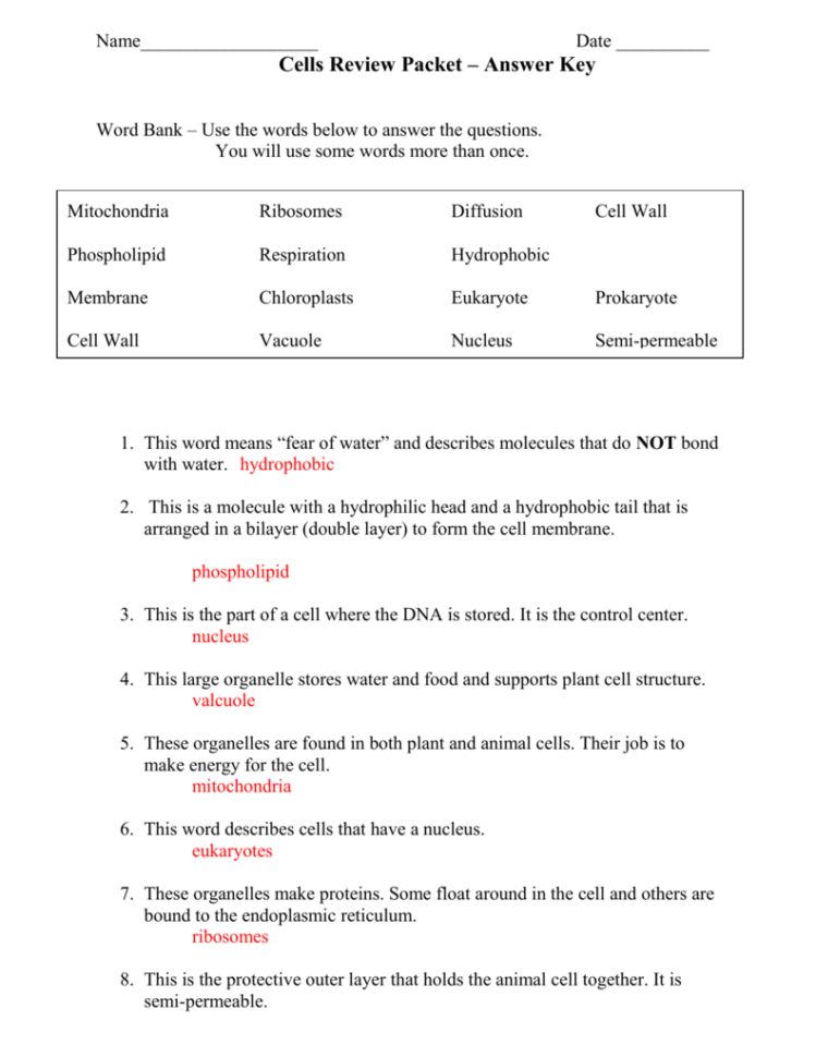 Biomolecules Worksheet Answer Key — db-excel.com