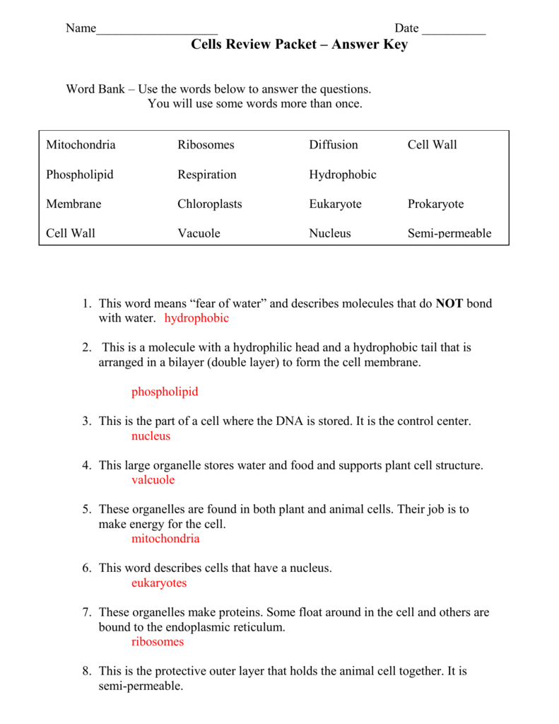 Cells And Biomolecule Review Answer Key