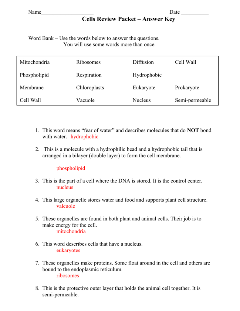 Biomolecules Worksheet Answer Key Db excel