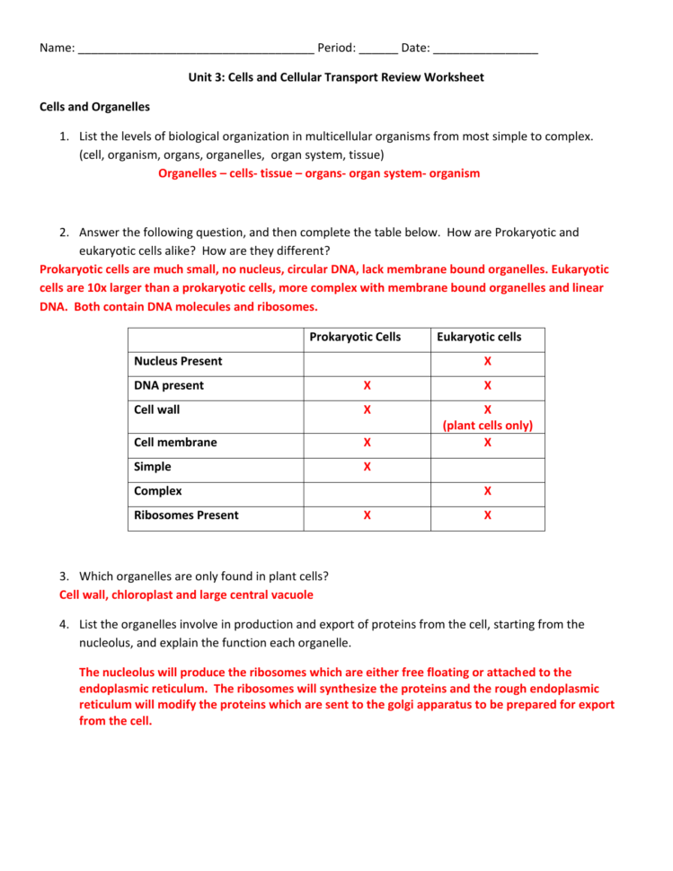 Cells And Cell Transport Review Worksheet 2014Honors