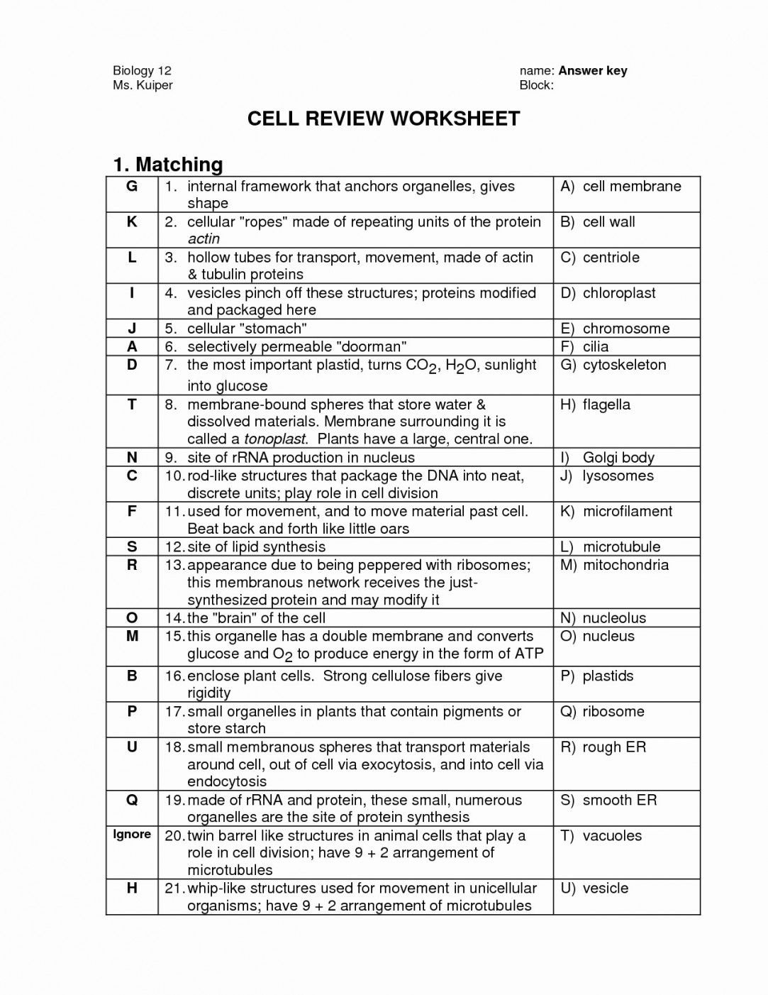Cells And Organelles Worksheet Answer Key 5Th Grade Math