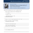 Cells Of The Immune System—Student Worksheet