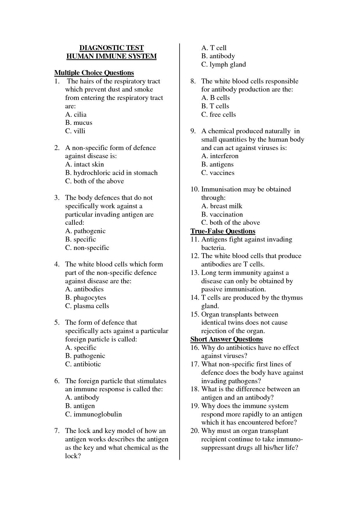 Cells Of The Immune System Student Worksheet