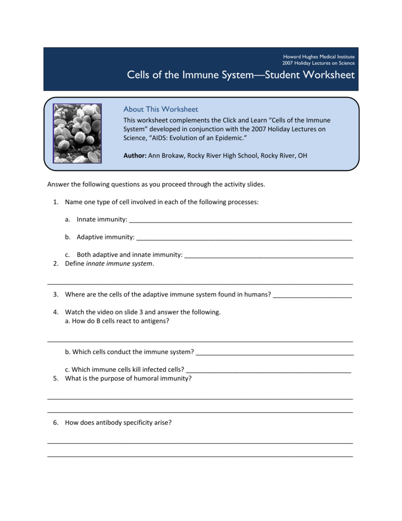 Cells Of The Immune System—Student Worksheet