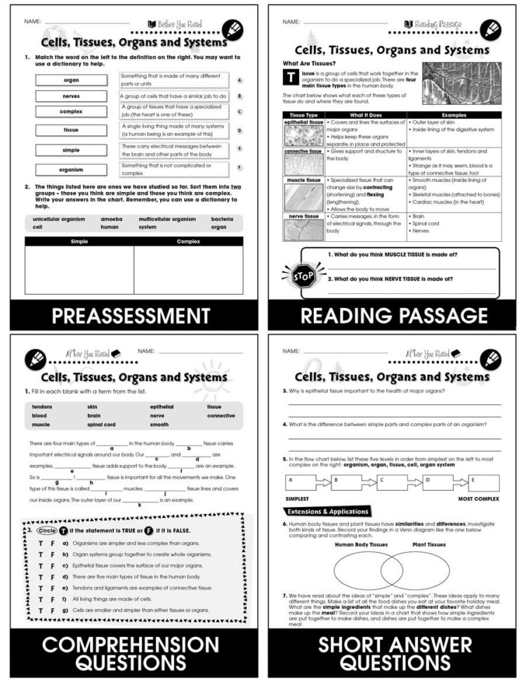 Cells Skeletal  Muscular Systems Cells Tissues Organs