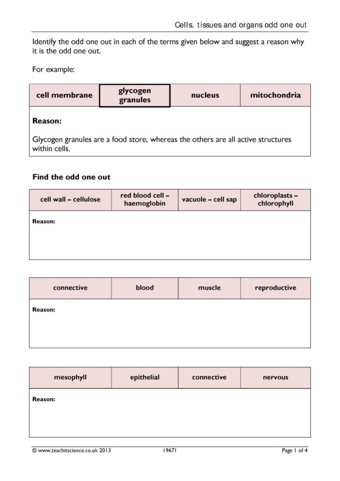 Cells Tissues And Organs Odd One Out