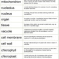 Cells Vocabulary List  Definitions  Pdf