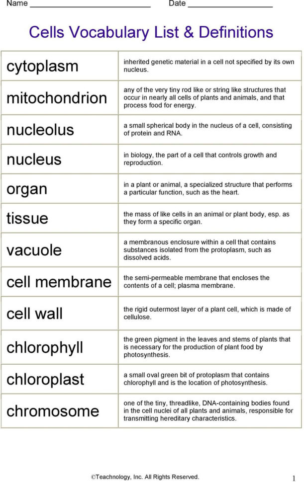 Cells Vocabulary List  Definitions  Pdf