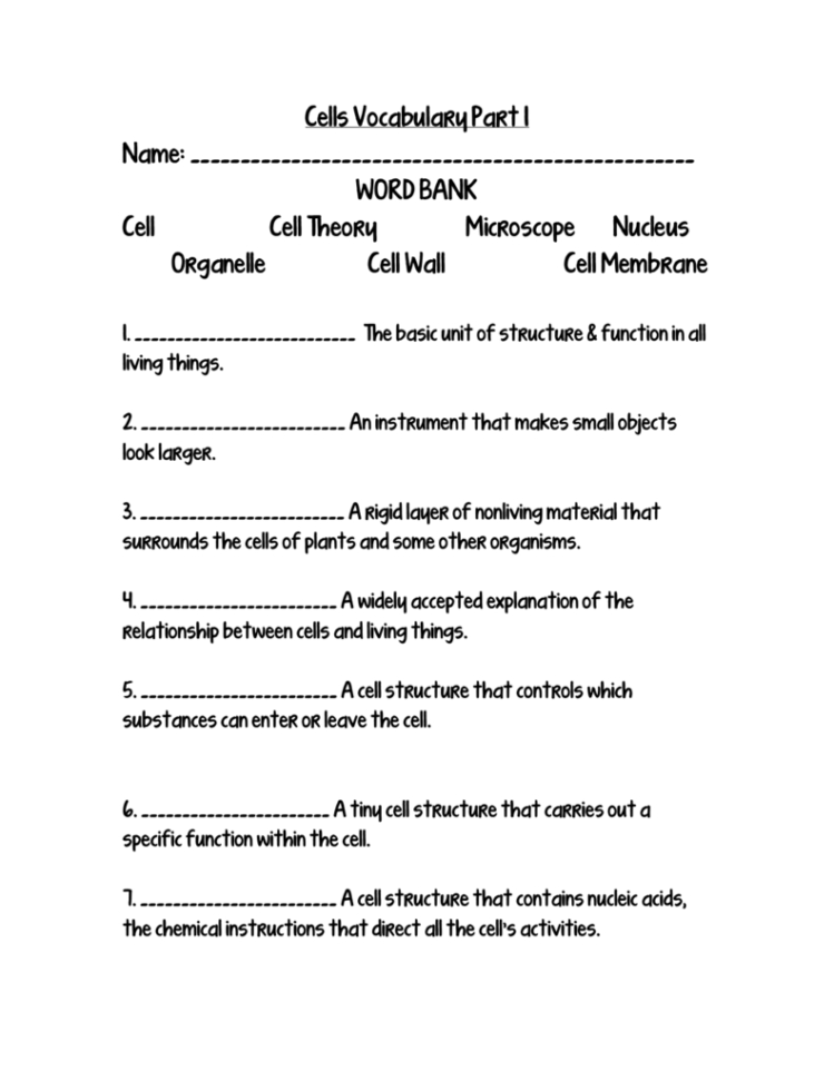 Cells Vocabulary Part 1 Name Word Bank Cell Cell Theory