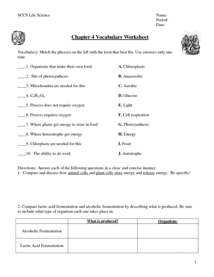 Cellular Respiration Breaking Down Energy Worksheet