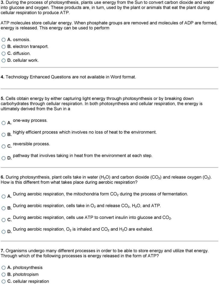 Cellular Respiration Breaking Down Energy Worksheet Answers