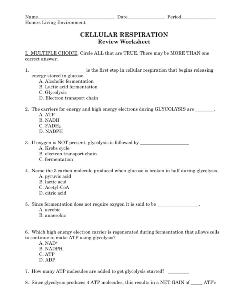 Cellular Respiration Worksheet Multiple Choice Answers