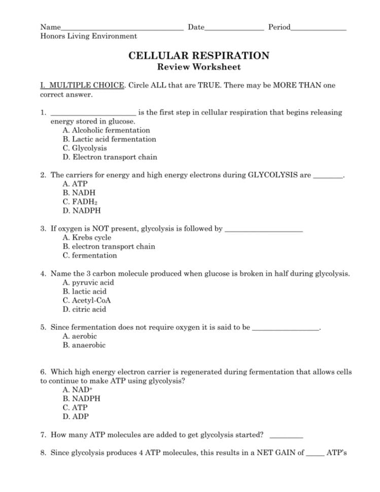 Cellular Respiration Review Worksheet