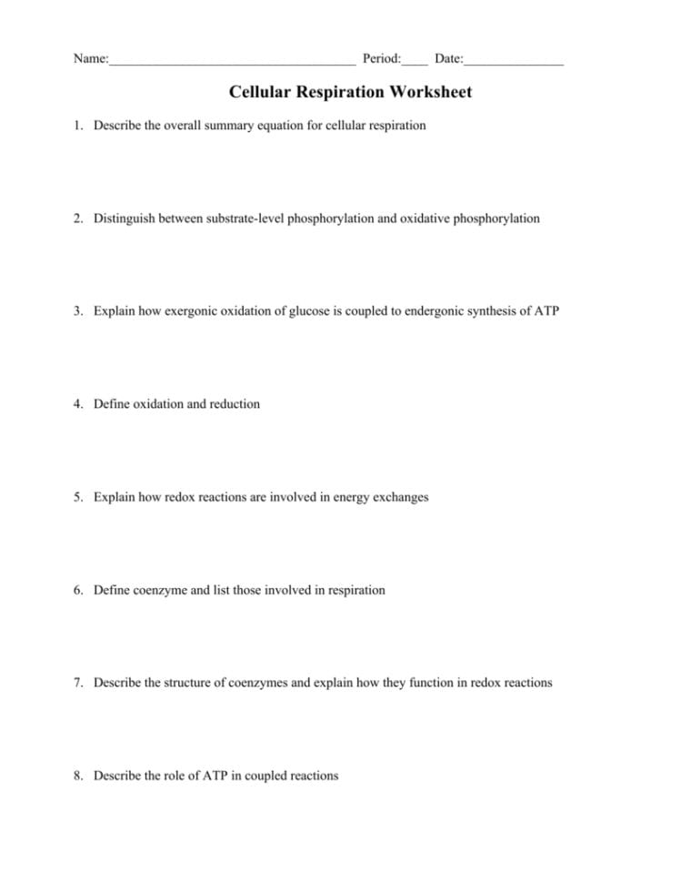 Cellular Respiration Worksheet  Elmwood Park Memorial High
