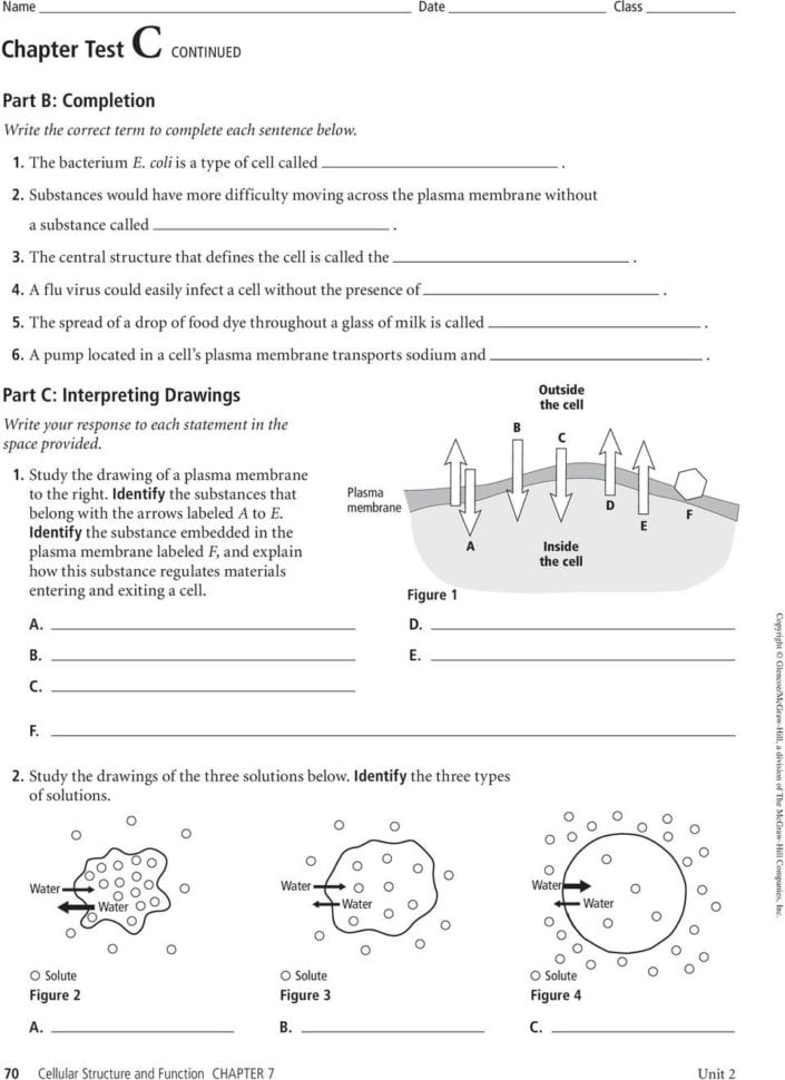 Cellular Structure And Function  Pdf