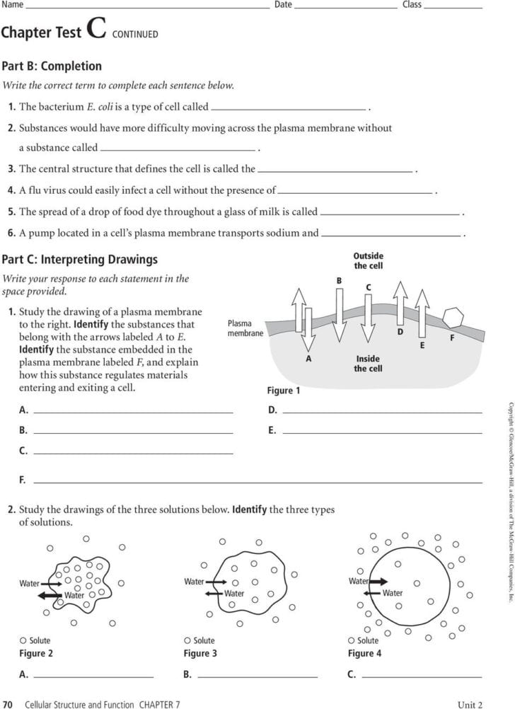 Chapter 7 Section 2 The Plasma Membrane Worksheet Answers