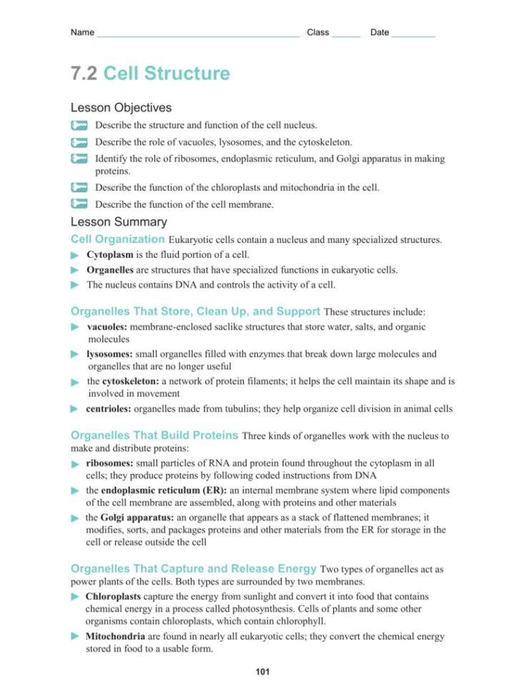 Cellular Structure Worksheet
