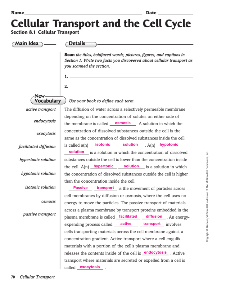 Cellular Transport Worksheet Section A Cell Membrane Structure Answer Key