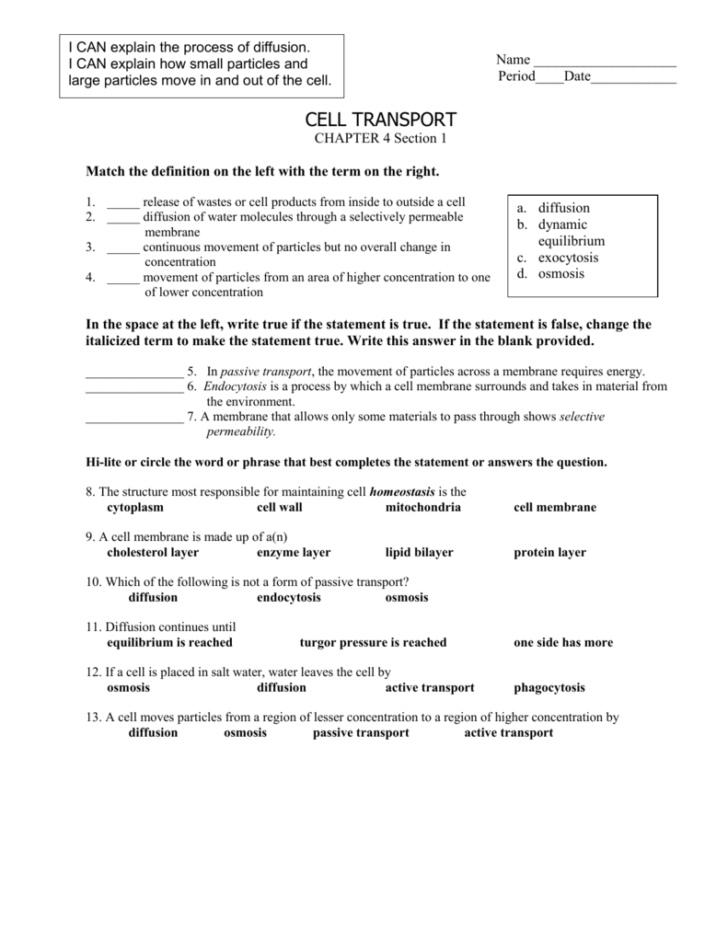 Chapter 7 Section 4 Cellular Transport Worksheet Answers