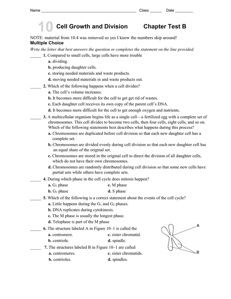 Ch 10 Practice Test B