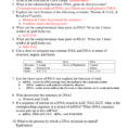 Ch 11 Study Guide Dna Rna And Proteins