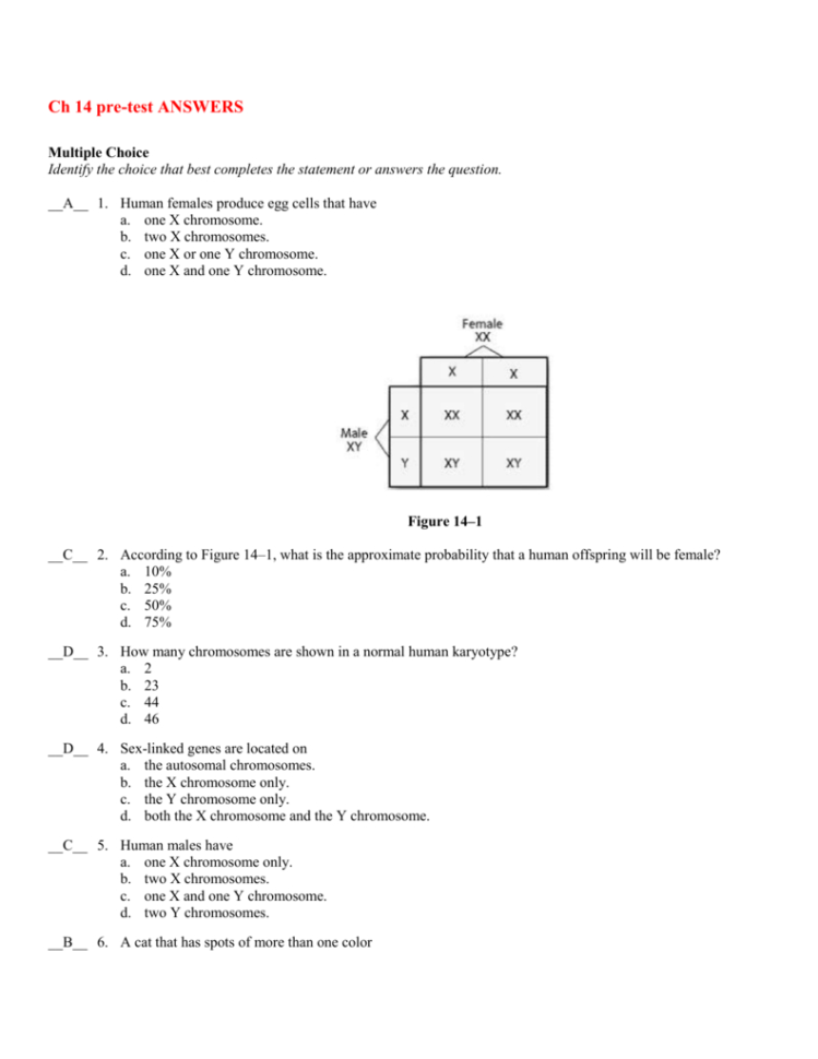 Ch 14 Pretest Answers
