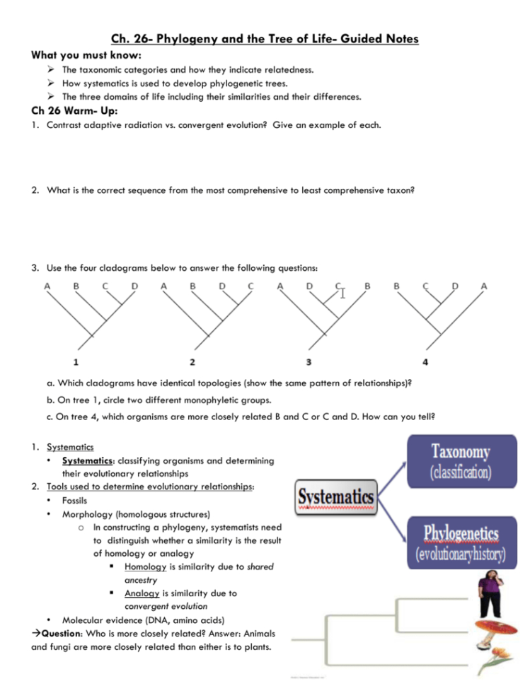 Ch 26 Phylogeny And The Tree Of Life