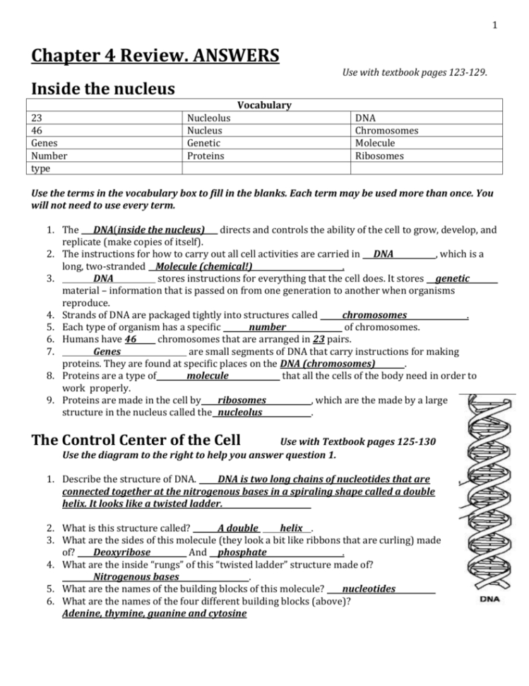 Ch 4 Review From Workbook Answers