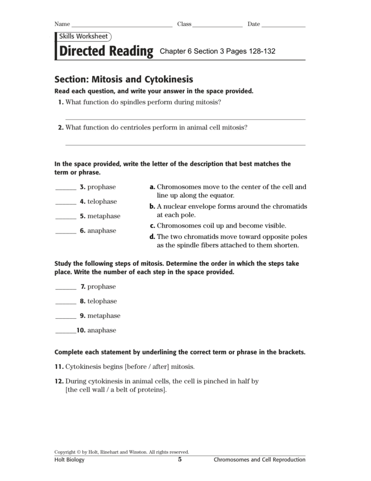 Ch 6 Section 3 Directed Readingquiz