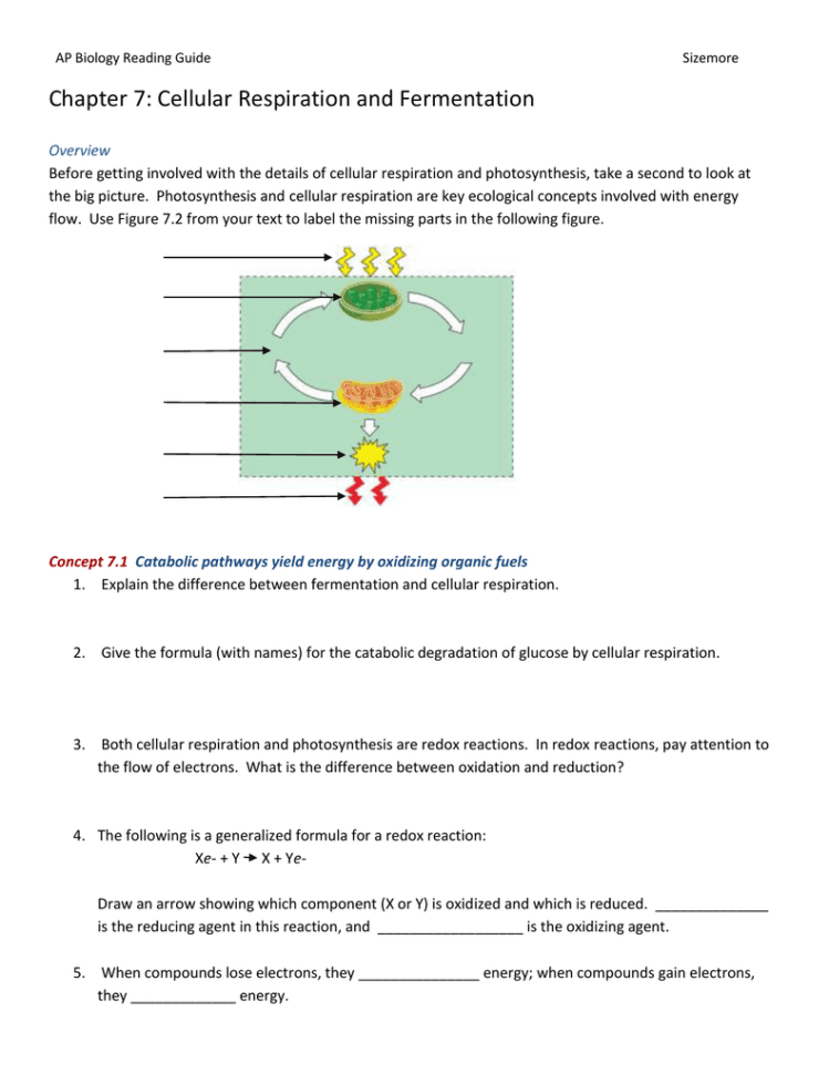 Ch 7 Reading Guide 2014