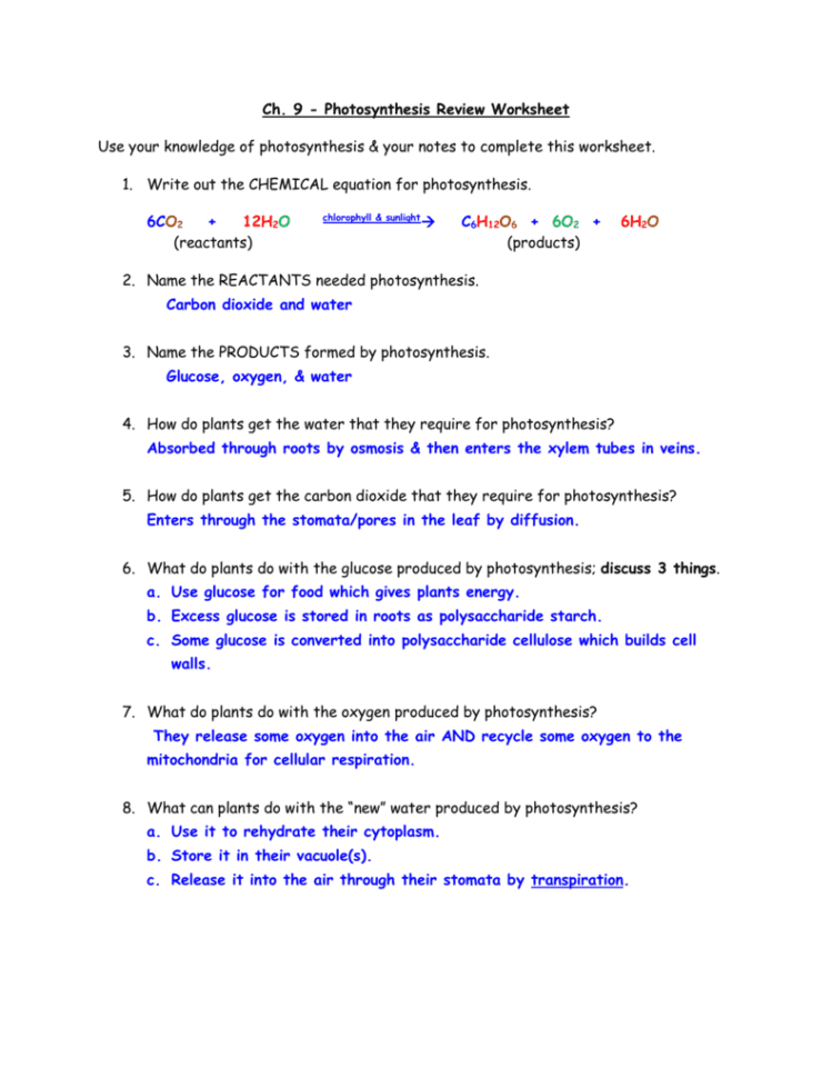 Ch 9  Photosynthesis Review Worksheet Use Your Knowledge Of