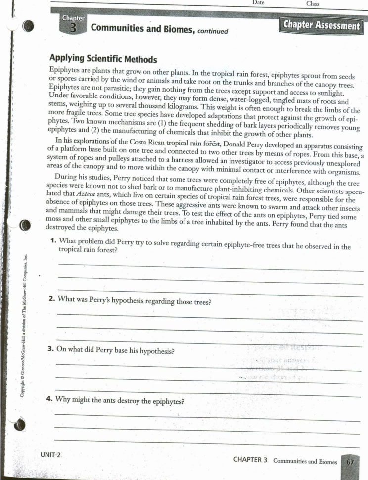 The Constitution Worksheet Answers