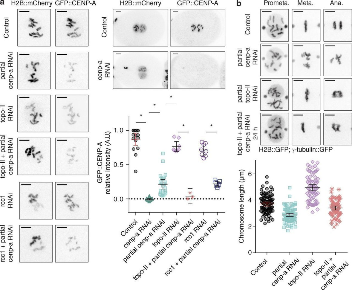 Chapter 1 Section 2 The Nature Of Science Worksheet Answers