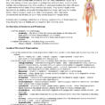 Chapter 1 The Human Body An Orientation