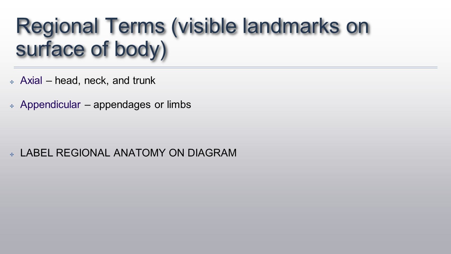 Chapter 1 The Human Body An Orientation  Ppt Video Online