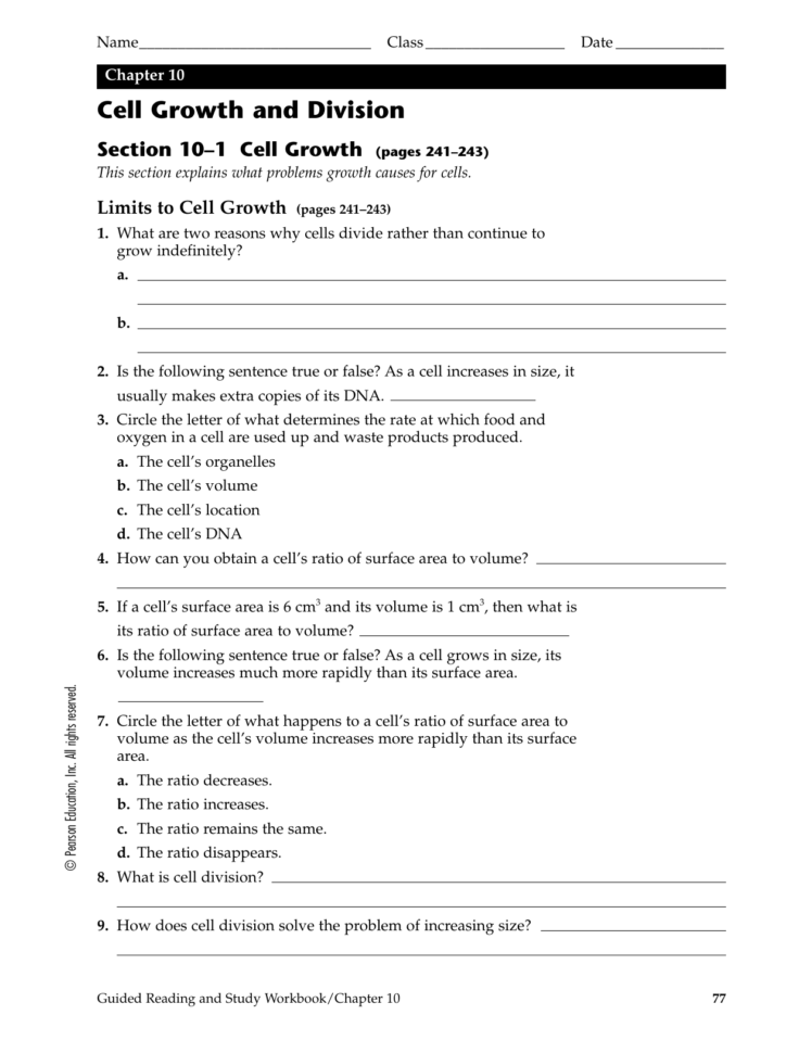Chapter 10 Cell Growth And Division Se